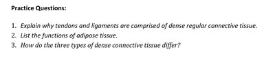 Practice questions for connective tissue