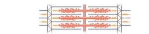 Enlargement of sarcomere showing myosin heads