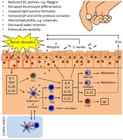 Pathophysiology of atopic dermatitis: barrier disruption and immune activation