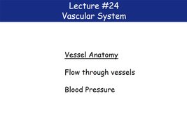 Lecture outline: Vessel Anatomy, Flow through vessels, Blood Pressure