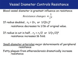 Effect of vessel diameter on resistance