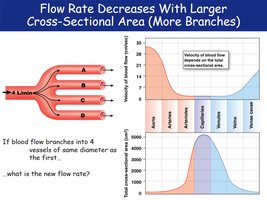 Flow rate and cross-sectional area