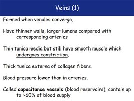 Vein structure and function