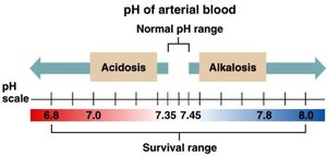 pH scale showing acidosis and alkalosis