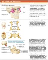 Table 7.2 Bones of the Skull