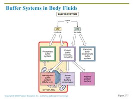 Buffer systems in body fluids