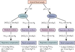 Flowchart for acid-base disorder diagnosis and compensation