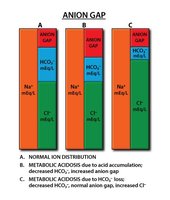 Anion gap bar chart: normal, high, and low