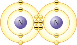 Triple covalent bond in nitrogen