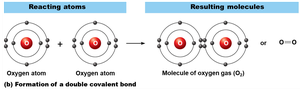 Formation of a double covalent bond between two oxygen atoms