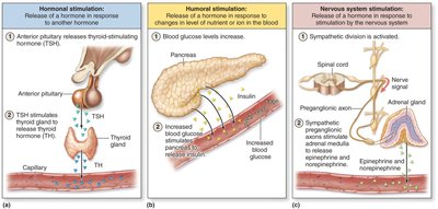 Three types of hormone secretion control: hormonal, humoral, and neural