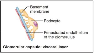Filtration membrane structure