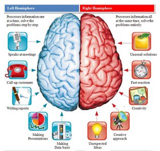 Left and right hemisphere functional differences