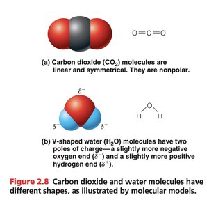 Polar and nonpolar molecules