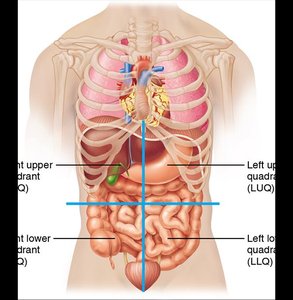 Abdominopelvic quadrants