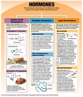 Structural Classification of Hormones
