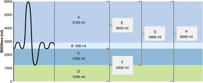 Spirographic record of lung volumes and capacities