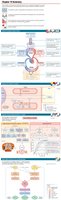 Control of ventilation summary figure