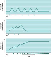 Myograms of Twitches, Summation, and Tetanic Contraction