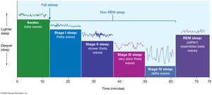 Stages of wakefulness and sleep as shown by EEG patterns