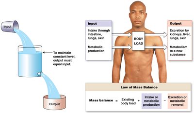 Law of mass balance