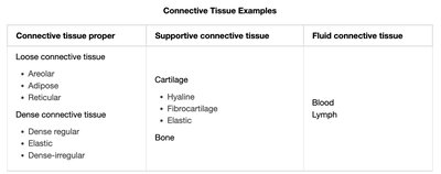 Connective tissue classification table