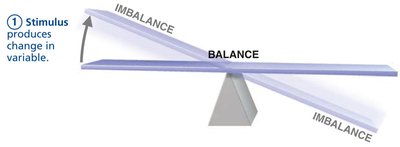Homeostatic control system: stimulus and balance