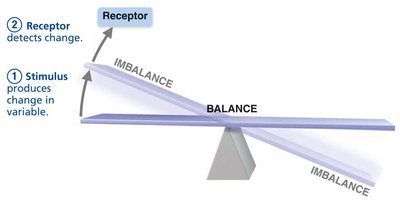 Homeostatic control system: receptor detects change
