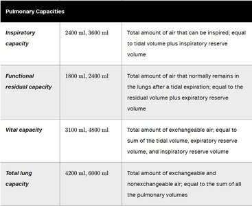 Table of pulmonary capacities