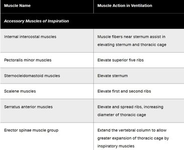Table of accessory muscles of inspiration