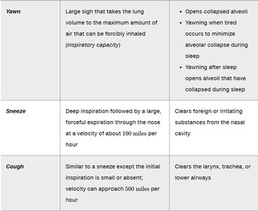 Table of nonrespiratory movements: yawn, sneeze, cough