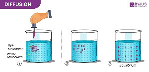 Diffusion process