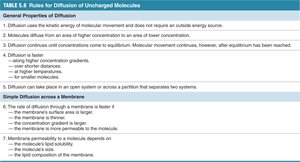 Factors affecting diffusion