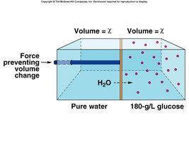 Osmotic pressure diagram