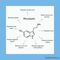 Functions of serotonin