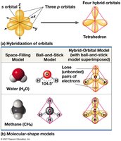 Molecular shapes due to hybrid orbitals