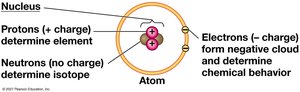 Summary: atom components