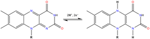 FAD redox reaction