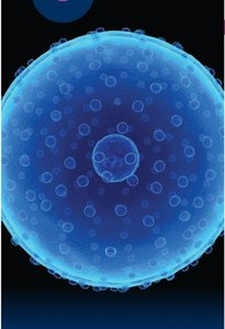 3D illustration of a cell