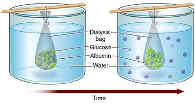 Dialysis process