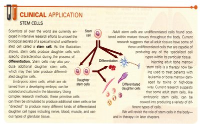 Normal, atrophy, and hypertrophy of cells