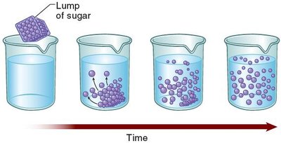 Diffusion of sugar in water over time