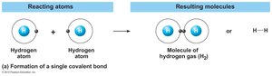 Formation of single covalent bond in hydrogen gas