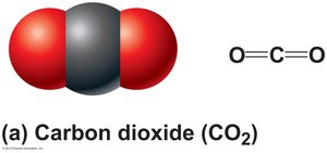 Non-polar covalent bond: carbon dioxide
