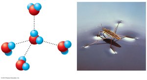 Hydrogen bonds in water molecules