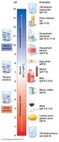 pH scale with examples