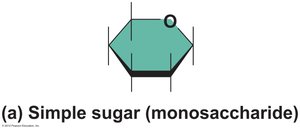 Monosaccharide structure