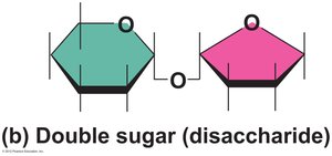 Disaccharide structure