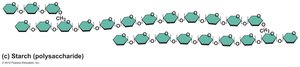 Polysaccharide structure