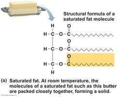 Saturated fat structure